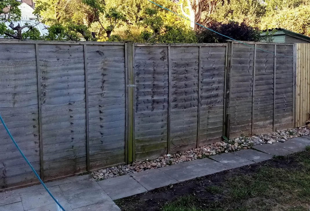 Broken old back garden fence