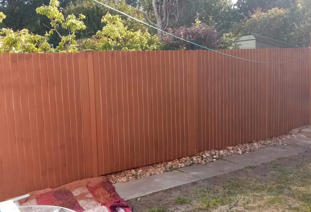 Painted new back garden fence panels